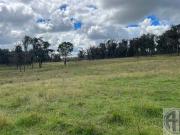 Shannon's 640 Acres of Prime Land