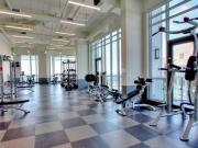 Shared Living/roommate 1 Bedroom For Rent Toronto ON...