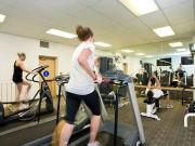 Shared Living/roommate 1 Bedroom For Rent Toronto...