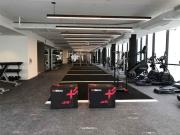 Shared Living/roommate 1 Bedroom For Rent Toronto...