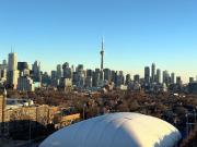 Shared Living/roommate 1 Bedroom For Rent Toronto...