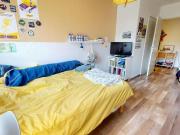 Shared Living/Roommate 1 chambres, Lyon Lyon 69008...