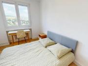 Shared Living/Roommate 1 chambres, Saint Étienne Saint...