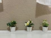 Shared Living/Roommate 1 Dormitorio Madrid Madrid ES95657298 Shared Living/Roommate 1 Dormitorio Madrid Madrid ES95657298