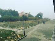 shared living/roommate 1 quarto, Lisbon Lisbon 1750 462...