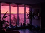 Shared Living/roommate 3 Bedroom For Rent Halifax NS 950...
