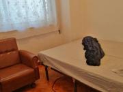 shared living/roommate 3 quarto, Porto Porto 4000 DS82548498