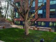 Shared Living/roommate 40 Bedroom For Rent Exeter Exeter...