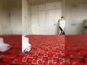 Shared Living/roommate 4 Bedroom For Rent London London...