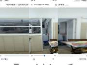 Shared Living/Roommate 4 Dormitorio...