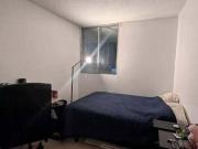 Shared Living/roommate Ottawa ON 99288004