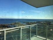 Shared Living/roommate Toronto ON LS99012948