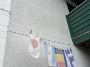 Shared Living/roommate Vancouver BC 95536402