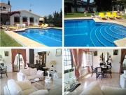 Sharming Andalucian Villa for vacation in San Pedro de...
