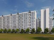 Shela 1 BHK Apartment For Sale Ahmedabad