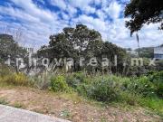 Sherwood Forest en Condado de Sayavedra