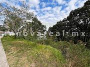 Sherwood Forest en Condado de Sayavedra