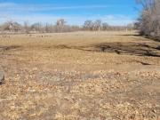 Shirk Ln Sw, Albuquerque, Plot For Sale