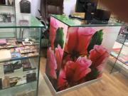 Shop for rent cosmetic Islamabad F 10 ID 31383