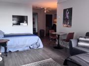 Short Term Sublet May, June & July large bachelor...