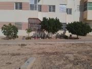 شقة للبيع بالسكن الاقتصادي بالنسيم تاوريرت