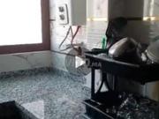شقق للكراء 60 m² في الجديدة