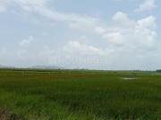 Shreya Plot In Panvel,Panvel Residential Plot For Sale...