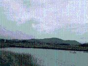 Shreya Plot In Uran,Uran Residential Plot For Sale Navi...