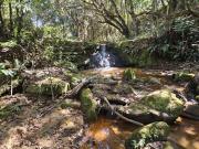 Sítio 20.000m2 com acesso asfalto e riacho nos fundos...