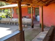 Sítio 5 hectares com terras de cultura a venda em...