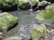 SIEB 207 Finca en venta, La Mesa