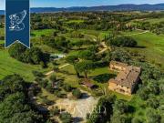 Siena Siena 96317475