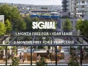 SIGNAL
