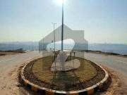 Signature Properties Offer Beautiful Plot Sector C...