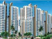 Signature Signum 37D III Commercial Land 150000 Sq. Ft....