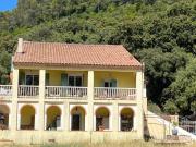 Signes: En exclusivité: Propriété d'env.350 m2...