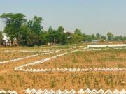 Sikariya Green City 1200 Sq. Ft. Plot in Bihta Patna