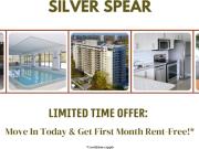 Silver Spear