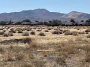 Silver Springs NV 89429 LS96054305