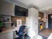 Bronze Studio Penthouse