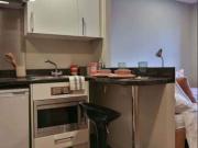 Silver Studio Plus F Has an Apartment