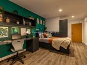 Silver Studio / Silver Plus Studio