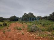 Silves Faro 8300 052 82036145