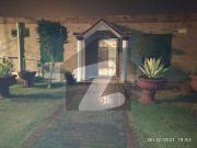 Singhal Storey 5 Marla Cottage And Awami Villa Available...