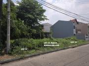 Modern Family Living in QC! Customized 2 Storey House &...