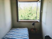 Single bedroom in a 5 bedroom apartment near Jardim...