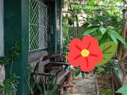Single Detached 3 BR Citation Homes Meycauayan Bulacan...
