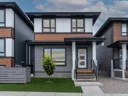 The Meadows Single Family Homes