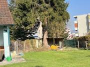 Single family house with 6.5 rooms on sale in Wohlen AG...