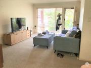 Single Level Home